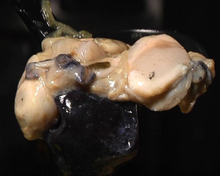 初冬时节 吃生蚝米线补补“蛎”量