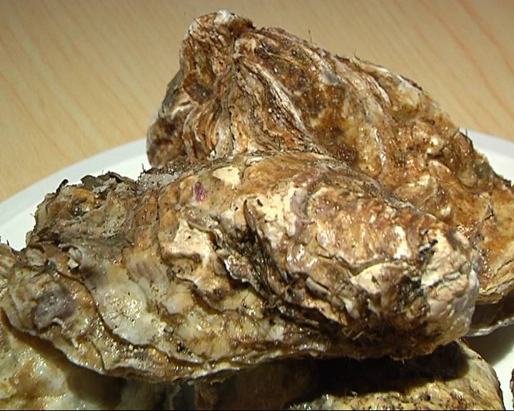 初冬时节 吃生蚝米线补补“蛎”量