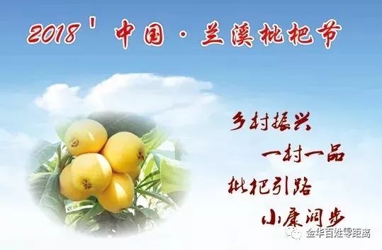 爱吃枇杷的人看过来咯,兰溪穆坞枇杷开摘啦!