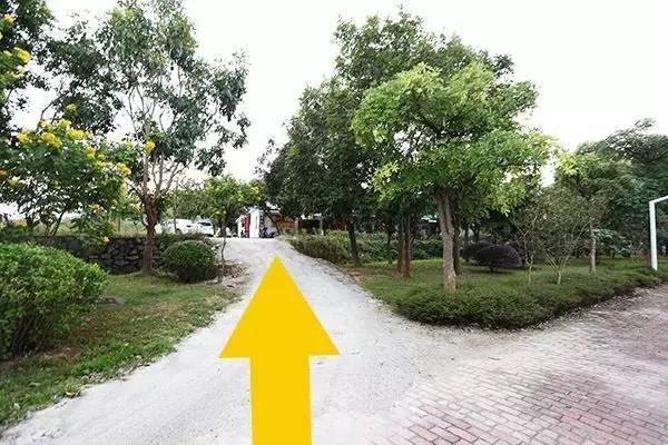 9.8蚊一只平靓正乳鸽,隐藏在从化风云岭的平民饭堂!吃过都回头!