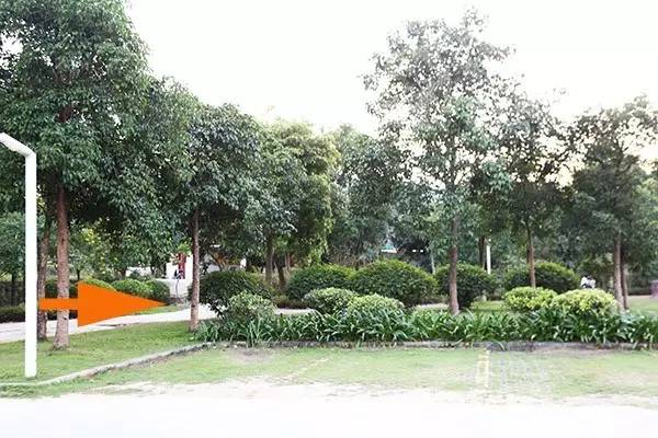 9.8蚊一只平靓正乳鸽,隐藏在从化风云岭的平民饭堂!吃过都回头!