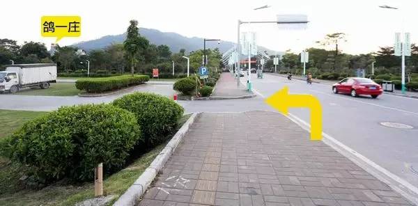 9.8蚊一只平靓正乳鸽,隐藏在从化风云岭的平民饭堂!吃过都回头!