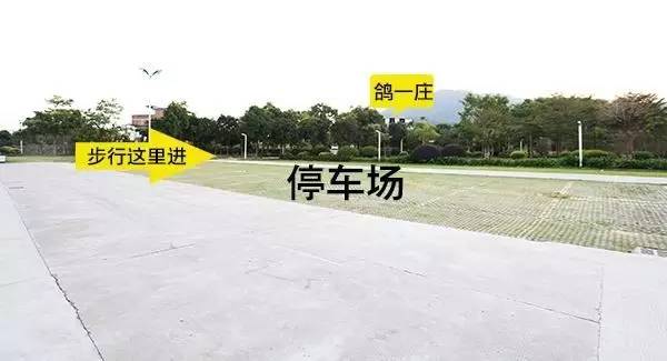 9.8蚊一只平靓正乳鸽,隐藏在从化风云岭的平民饭堂!吃过都回头!