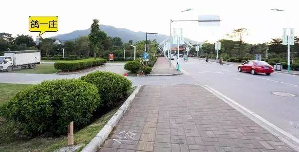 9.8蚊一只平靓正乳鸽,隐藏在从化风云岭的平民饭堂!吃过都回头!