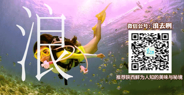 b1q61706.gif 147761677656716782.gif