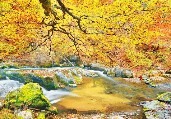 带您走进东北亚生态家园珲春