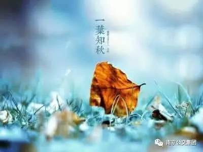 【致敬城市英雄】 今日立秋，南京公交修理工师傅们集体啃秋