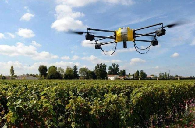 任性！腾讯50000员工倾尽所有，试图用一根黄瓜证明科技善良！