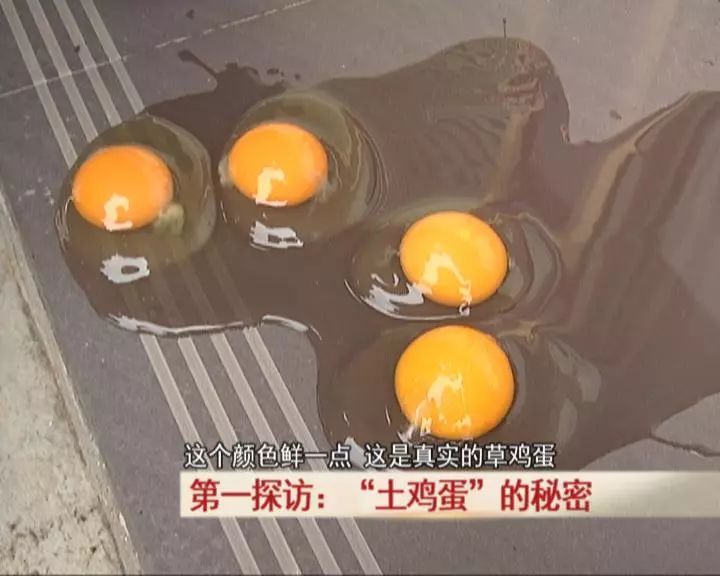 扎心了！你花高价买的“土鸡蛋”，可能是……