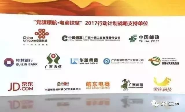 浦北百年野生橄榄化身绿色糕点,小清新的感觉无法拒绝!