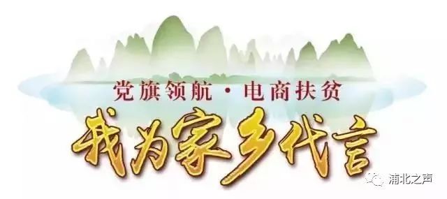 浦北百年野生橄榄化身绿色糕点,小清新的感觉无法拒绝!