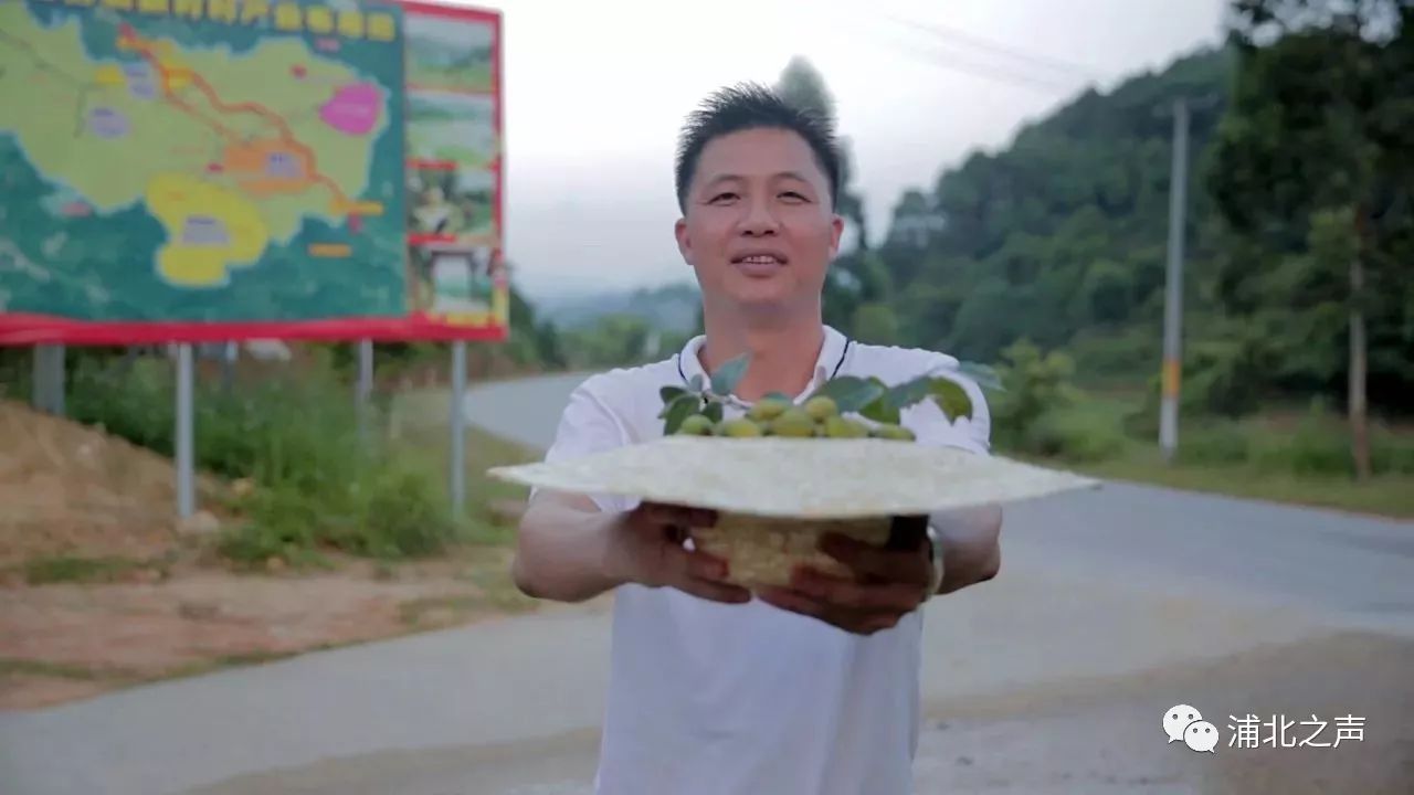 浦北百年野生橄榄化身绿色糕点,小清新的感觉无法拒绝!