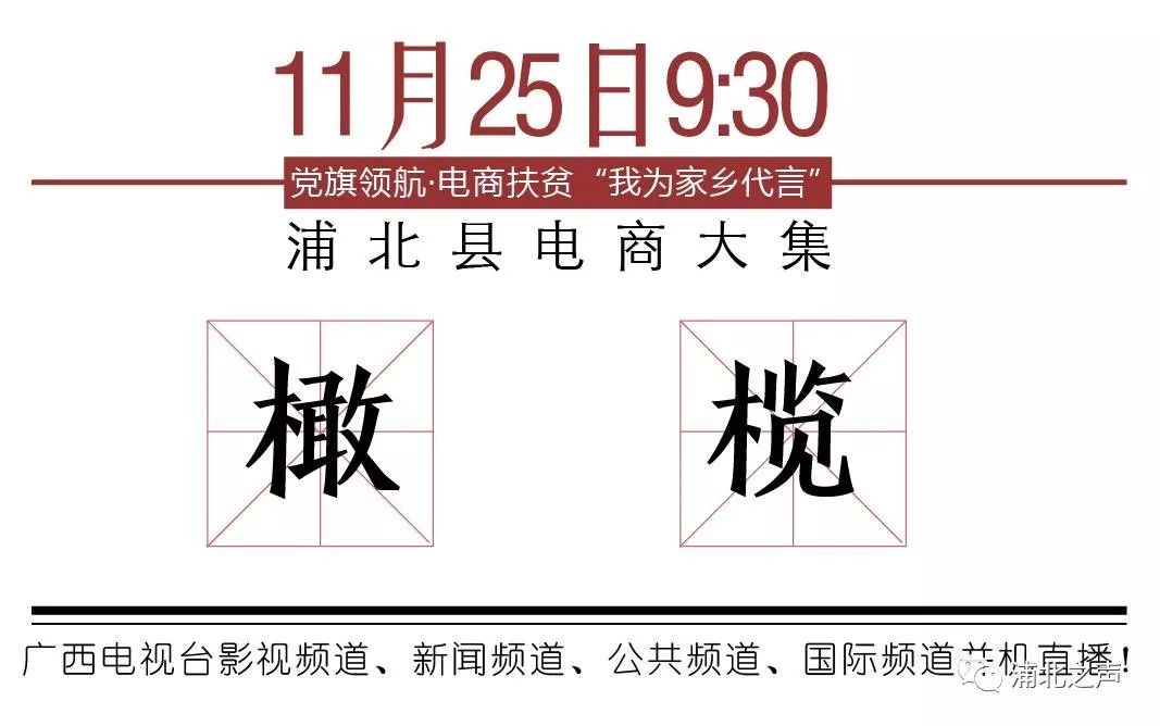 浦北百年野生橄榄化身绿色糕点,小清新的感觉无法拒绝!