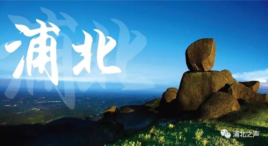 浦北百年野生橄榄化身绿色糕点,小清新的感觉无法拒绝!