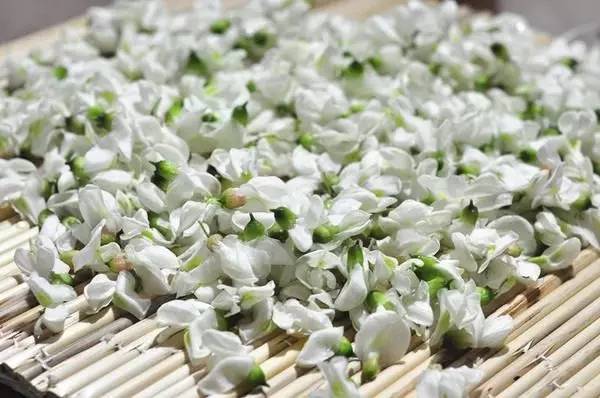 爱吃槐花的青岛银赶紧看 最全吃法都在这了