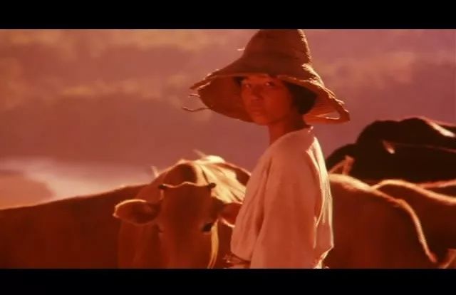 从戛纳“金闹钟”到评分超《黄土地》,《孩子王》无声逆袭