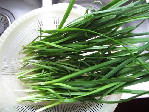 养生:14种食物最能补肾 壮阳效果堪比伟哥