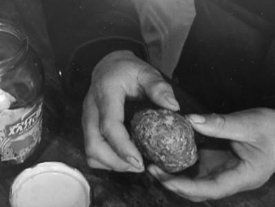 男子从羊胃取出“羊宝” 专家判断或为草结