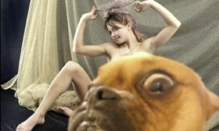 神吐槽:中华老司机 带上车的都是我媳妇