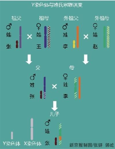 新京报制图/张妍 郭屹