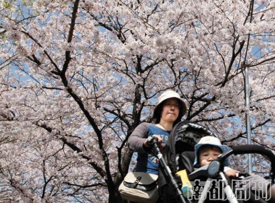 日本有1.3亿人,但他们人口问题的关键词不是人多,而是人少,准确说是小孩太少 日本有1.3亿人,但他们人口问题的关键词不是人多,而是人少,准确说是小孩太少