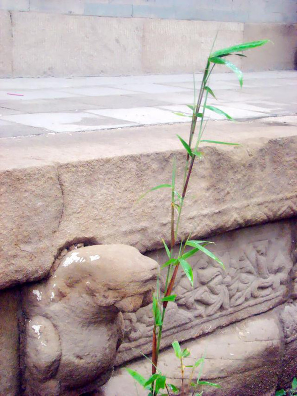 “五千年华夏文明看山西”之美誉