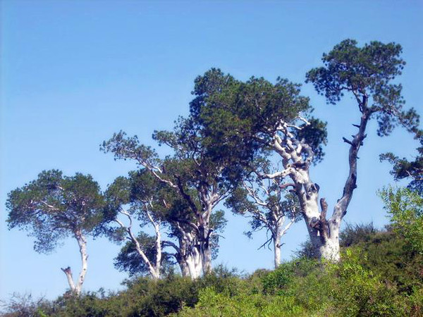 “五千年华夏文明看山西”之美誉