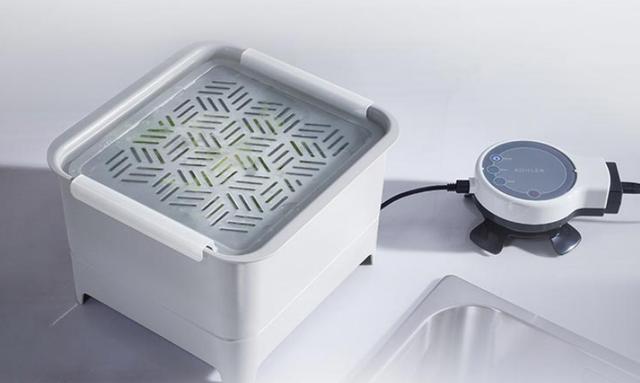 蔬菜真的光鲜亮丽吗?果蔬机有用吗?