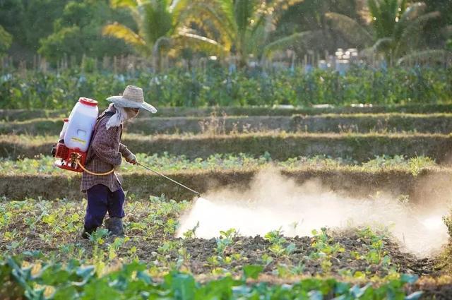蔬菜真的光鲜亮丽吗?果蔬机有用吗?