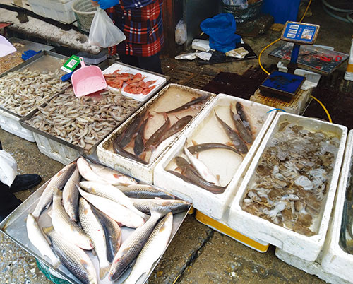 开春“第一鲜”开冰梭鱼上市 令烟台人大饱口福