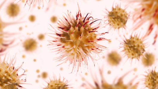 由于抗生素耐药性淋病变得越来越难以治疗