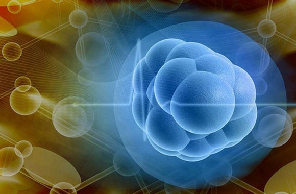 赴美就医:美国FDA警告干细胞疗法风险,但鼓励用于心衰.癌症等领域