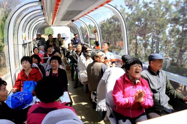 威海新开通一条旅游巴士专线~沿途风景绝美,票价感动到哭!