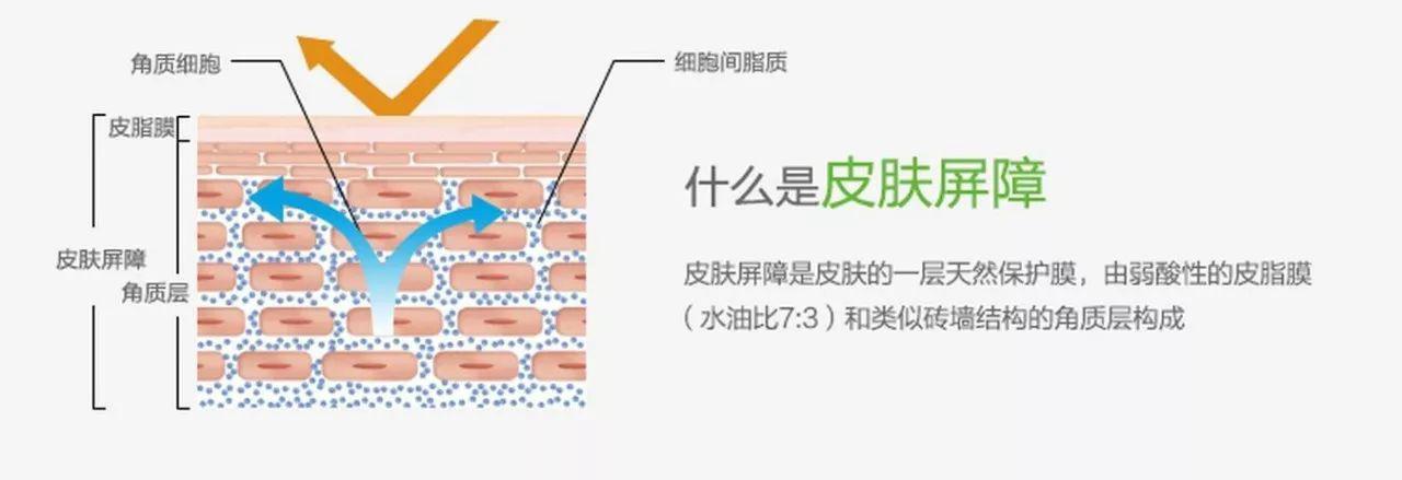 经常去角质的你,能错过Stridex水杨酸棉片吗