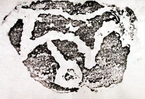 贺兰山岩画生殖符号解构