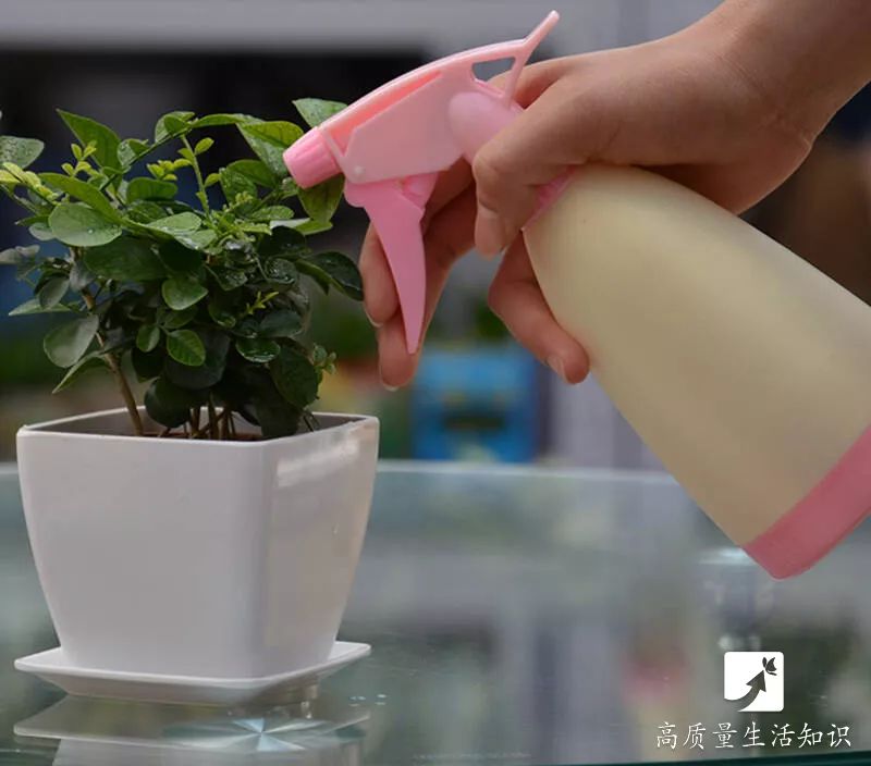 小苏打原来这么好用 95%的人都不知道