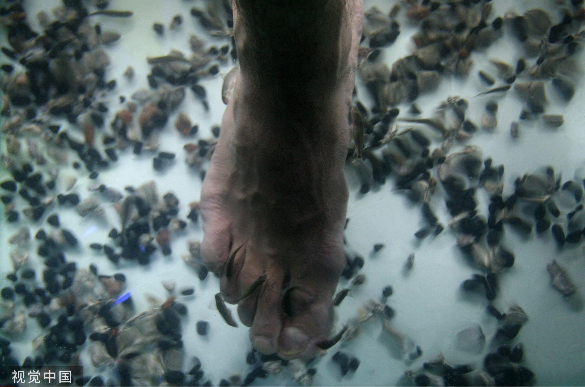 中国人为什么不混洗袜子和内裤