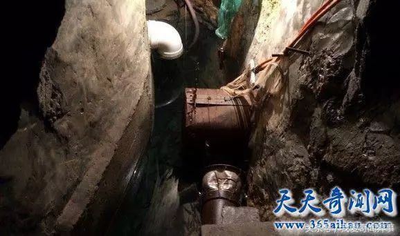 解谜：是真是假？重庆农户挖出神秘鱼泉 日捡百斤河鱼。