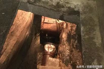 解谜:是真是假?重庆农户挖出神秘鱼泉 日捡百斤河鱼。