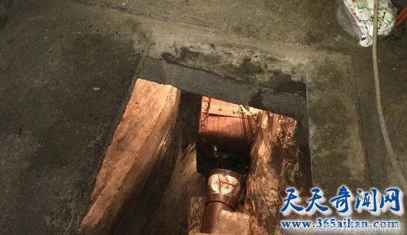 解谜:是真是假?重庆农户挖出神秘鱼泉 日捡百斤河鱼。