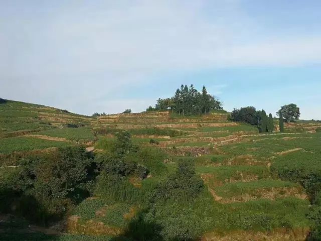 雨还要下!但好消息是,下周一磐安或将迎来晴天!