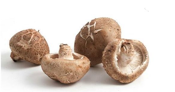 雨还要下!但好消息是,下周一磐安或将迎来晴天!