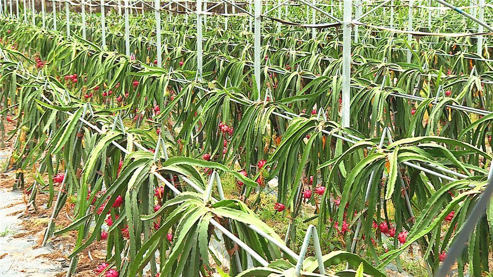 雨还要下!但好消息是,下周一磐安或将迎来晴天!