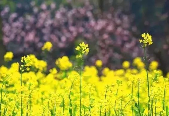 雨还要下!但好消息是,下周一磐安或将迎来晴天!