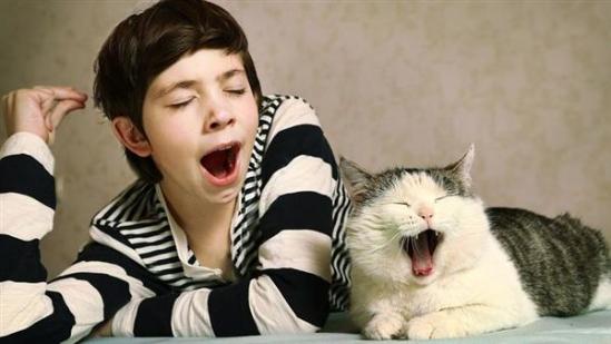 双语：为什么会打哈欠？打哈欠为什么会传染？