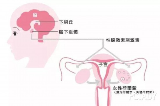 躲过了青春痘，却没逃得了姨妈痘