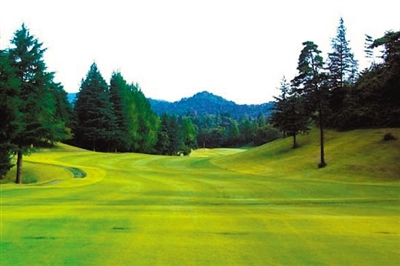 高尔夫吉尼斯世界纪录