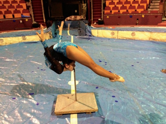 组图:2014吉尼斯世界纪录