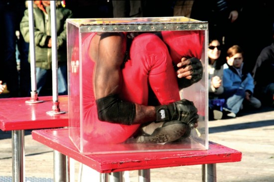 组图:2014吉尼斯世界纪录