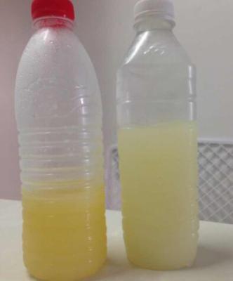 网传蒜子油炸变红为地沟油 这些辨别技巧靠谱吗？